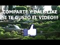 DIOSA CANALES MEGA CUL0 HACIENDO TWERKING