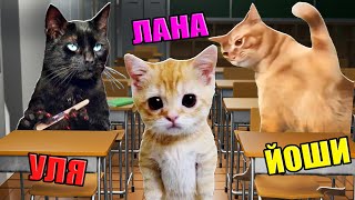 Какой Ты Мемный Кисик? Roblox Cat Meme Rp