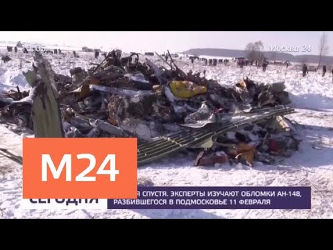 Около пяти тысяч фрагментов разбившегося Ан-148 предстоит изучить экспертам - Москва 24 Около пяти тысяч фрагментов разбившегося Ан-148 предстоит изучить экспертам - Москва 24
