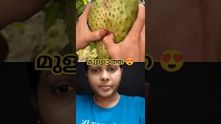 Sirsak Madusoursop മളളതത