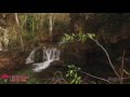 P.N. Barranco del río Dulce