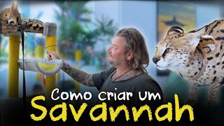 O Gato Que Anda Na Coleira E Come Ratos Conheça O Savannah F1