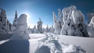 Yiruma Playlist Collection Yiruma Playlist Collection