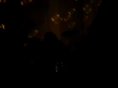 Animosity Video