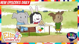 Elinor Wonders Why Colourful And Tasty Akili Kids