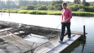яйва рыбалка хариус яйва рыбалка хариус