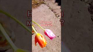 Юра Шатунов/Ты Что,Не Скучаешь?/10.03.24Г.❤️❤️❤️❤️❤️❤️❤️🌹🌹🌹