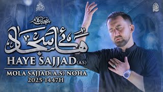 New Noha 2025 Haye Sajjad Mola Imam Sajjad Noha 2025 Ahmed Raza Nasiri 25 Muharram Noha 2025