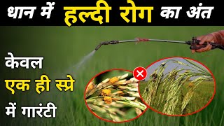 धन म हलद रग क अत कवल एक सपर म