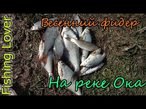 рыбалка в апреле на оке в нижегородской области на фидер видео рыбалка в апреле на оке в нижегородской области на фидер видео