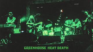 Watch King Gizzard  The Lizard Wizard Greenhouse Heat Death video