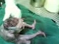 image Aneh Bayi Manusia Mirip Kodok