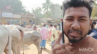 2025 Atikul Vlog New Video Sakshar Guru Hot.