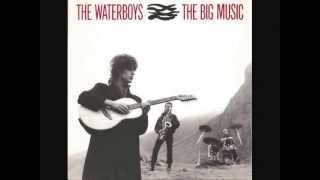 Watch Waterboys The Earth Only Endures video