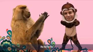 SB Aninals- Ba Ba Baboon