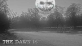 Adult Swim The Dawn Is Your Defamer Bump