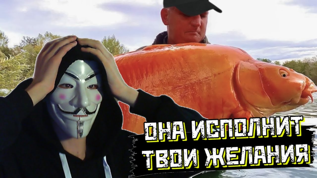 Просмотр Порно Поза 69