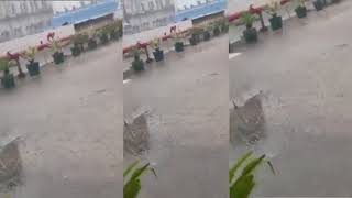 Rain