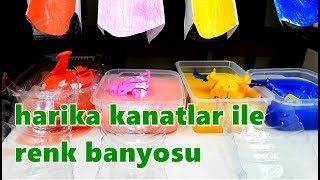 Harika Kanatlar Ile Renk Banyosu Jerome, Dizy, Donnie, Jett Kreş Etkinlik