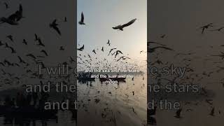 Send Your Love To Me. I Will Give You The Sky And The Sea And The Stars And The Sun And The Moon.