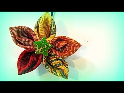 Indola Productos Cabello on Para Comprar La Adulaci N Especializada Del Producto No Si En Cuanto