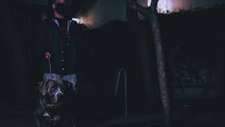 Watch Aaryan Shah Vultures In The Night video