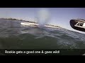 A Surfing Saturday A Surfing Saturday