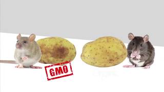 Seeds of Death, Unveiling The Lies of GMOs
