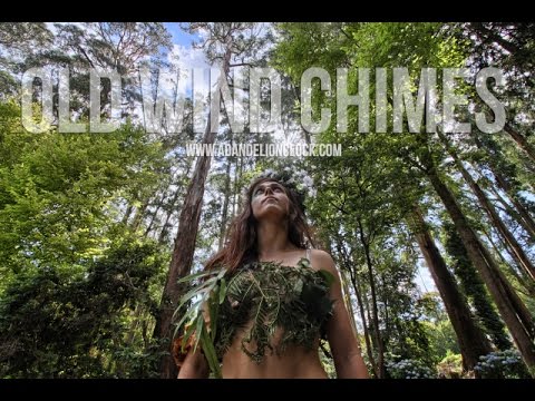 By Design Video