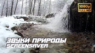 Живая Природа - Ручей | Зима | Звуки Природы | Звуки Ручья | Шум Воды | Релаксация | Заставка Для Tv