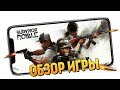 САМЫЙ ХАЙПОВЫЙ BATTLEROYALE? ОБЗОР! (Survivor Royale)
