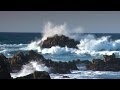 Zen Ocean Waves - Ocean Sounds Only (NO MUSIC)  Aquatic Dream Therapy