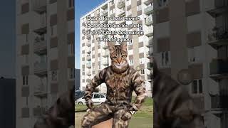 Jai Tenter