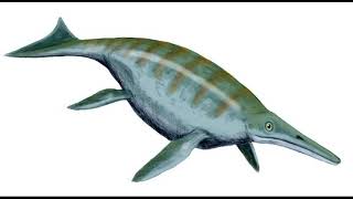 Shonisaurus Sound Effect