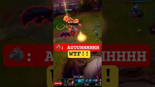 Warwick Animals