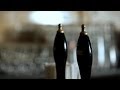 Lager vs. Ale | Craft Beer download mp3 dan video Lager vs. Ale | Craft Beer