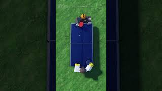 Lets Play Ping Pong