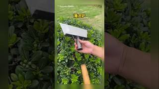 Alat Pertanian Di China Sederhana Namun Tepat Guna