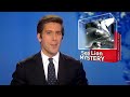 Cute Sea Lion Pups Rescued in California