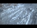 American Ski Cross Gold at Vancouver Olympics 2010 Video