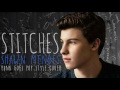 Shawn Mendes - Stitches (Audio)