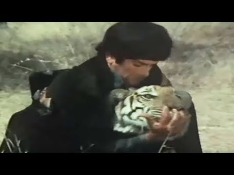 Shashi Kapoor Rakhee Nirupa Roy Jaanwar Aur Insaan - Scene 1515...