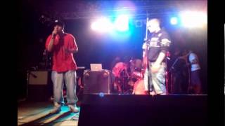 Watch Viper Wasted video