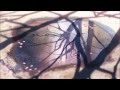 Los Mejores Animes Para Os Que Debes Ver No Hentai images Los Mejores Animes Para Os Que Debes Ver No Hentai