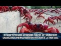 10 Strangest Ocean Phenomena You Won't Believe!