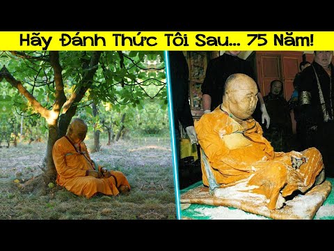 Một Nhà Sư Thiền Định Và Nói Rằng Hãy Đánh Thức Ông Sau 75 Năm... Đây Là Những Gì Xảy Ra Sau Đó!