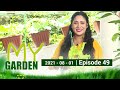 My Garden 01-08-2021