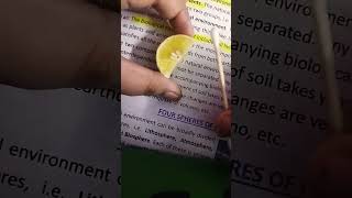 Easy Way To Remove Highlighter From Paper