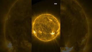 Watch This ‘Solar Snake’ Speed Across the Sun #shorts