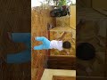 Keponakan N Tante images Keponakan N Tante